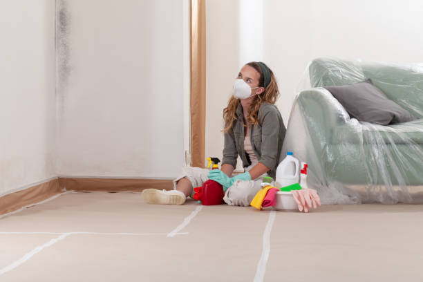 Reliable Bathroom Mold Removal contractor in Rocky Mount, NC by Mold Remediation HQ